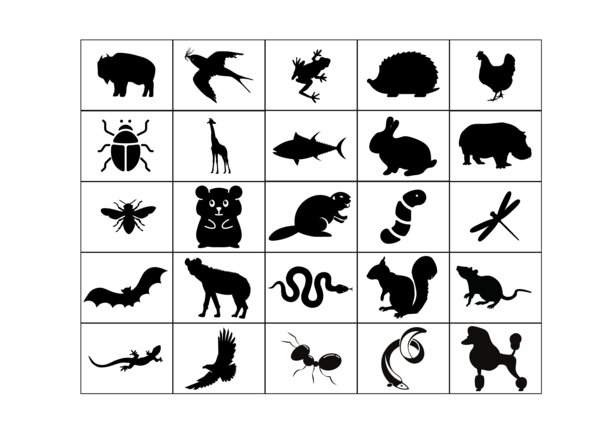 Bingo ortograficzne (24 plansze) format 5x5.