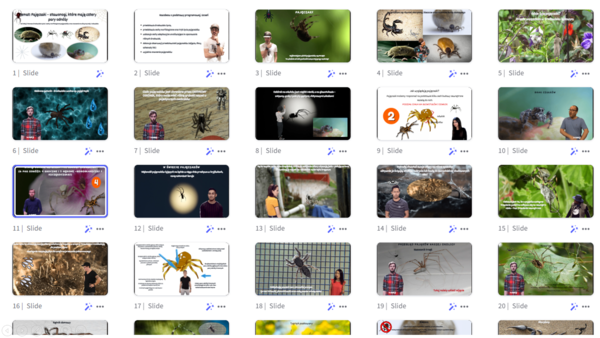 Prezentacja multimedialna w genial.ly „Pajęczaki – stawonogi, które mają cztery pary odnóży” – do edycji i pobrania – biologia klasa VI, dział III – temat 4