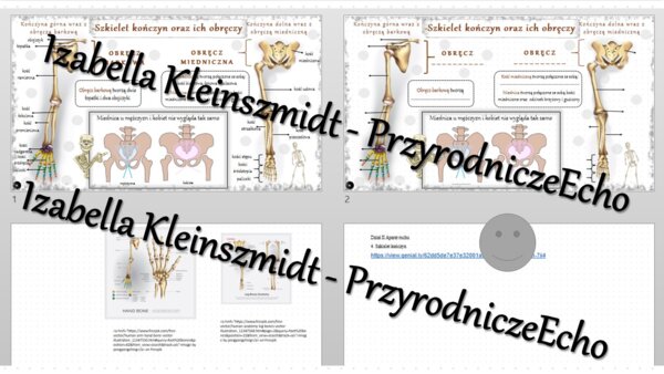 Minizestaw na temat „Szkielet kończyn” – sketchnotka + karta pracy w power point + gratisowy link do prezentacji multimedialnej niekomercyjnej wykonanej w genial.ly do indywidualnego pobrania i użycia do celów niekomercyjnych. Biologia 7, „Układ ruchu”