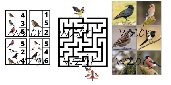 Ptaki zimą - pakiet