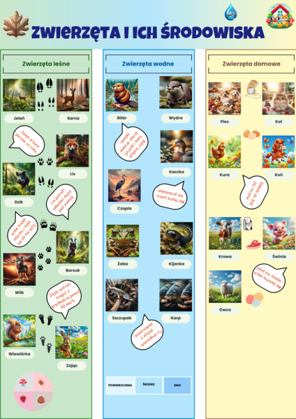 Tablice edukacyjne. Zwierzęta. Ptaki w Polsce. Gatunki grzybów. Zasady segregacji śmieci. Naturalne siedliska.