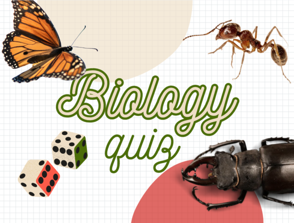 biologiczny quiz, turniej wiedzy, podsumowanie całego roku, lekcja biologii