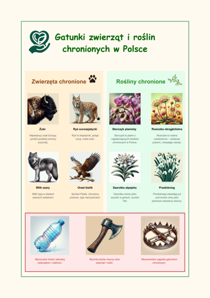 Plansze edukacyjne. Gatunki zwierząt i roślin. Warstwy lasu. Bioróżnorodność.