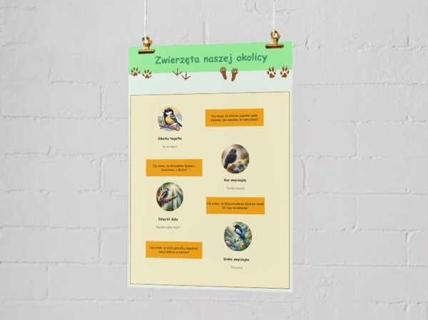 Plansze edukacyjne. Gatunki zwierząt, roślin i grzybów występujących lokalnie.