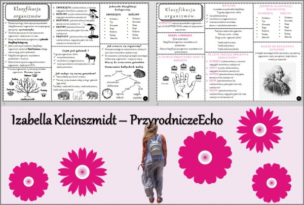 Sketchnotka/książeczka/notatka/wklejka/ściąga dla ucznia i przypomnienie dla nauczyciela/edukacja domowa. Temat „Klasyfikacja organizmów”. Materiał w pdf. Biologia 5, dział „Wirusy, bakterie, protisty i grzyby”. Nowość 2024/2025.