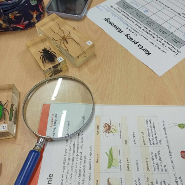 Karta pracy - stawonogi