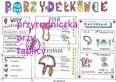 Klasa 6. Biologia. Parzydełkowce