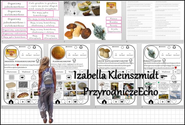 Materiał do zalaminowania/praca w grupach/stacje zadaniowe/układanka/puzzle okienkowa „Budowa i różnorodność grzybów. Porosty” „Instagram” w pdf. Biologia 5, dział „Wirusy, bakterie, protisty i grzyby”.