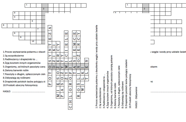 Logogryf dla klasy 4 na podsumowanie lekcji o odżywianiu organizmów