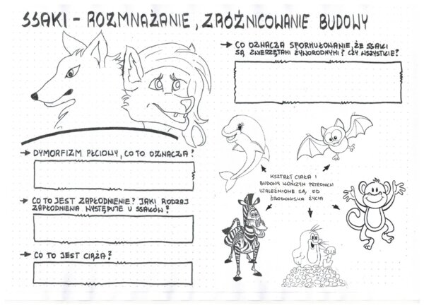 Ssaki - zróżnicowanie budowy ciała - klasa 6- KP