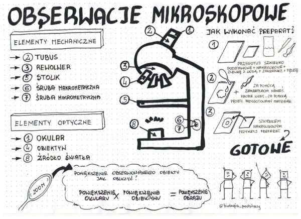 Obserwacje mikroskopowe - klasa 5 - sketchnotka