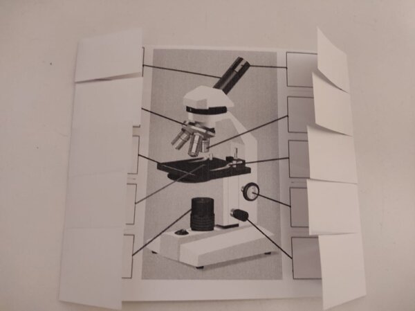 Mikroskop / Microscope - okienkowa notatka po angielsku