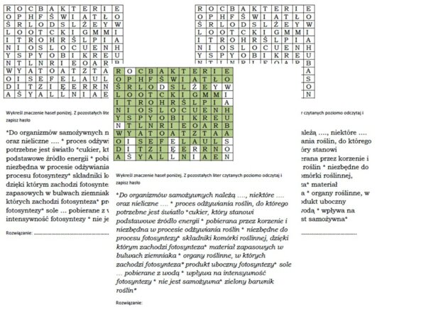 Wykreślanka dla klasy 5 na podsumowanie lekcji o odżywianiu się roślin