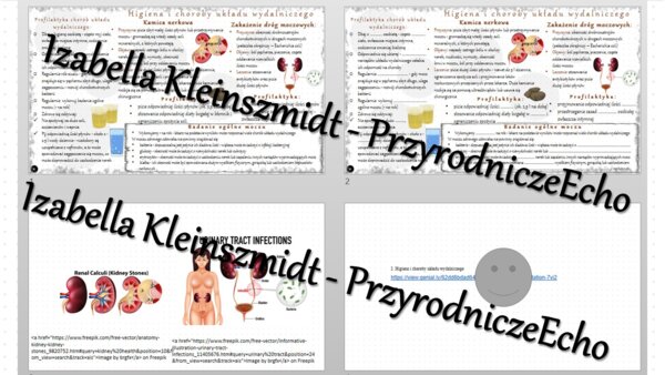 Minizestaw na temat „Higiena i choroby układu wydalniczego” – sketchnotka + karta pracy w power point + gratisowy link do prezentacji multimedialnej niekomercyjnej wykonanej w genial.ly do indywidualnego pobrania i użycia do celów niekomercyjnych. Biolog