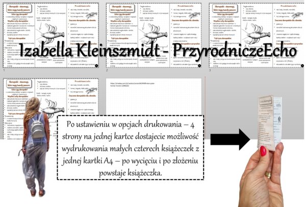 Broszurka/notatka/sketchnotka/wklejka/ściąga dla ucznia/przypomnienie dla nauczyciela w pdf. Biologia 6 „Stawonogi i mięczaki” – „Skorupiaki-stawonogi, które mają twardy pancerz”.