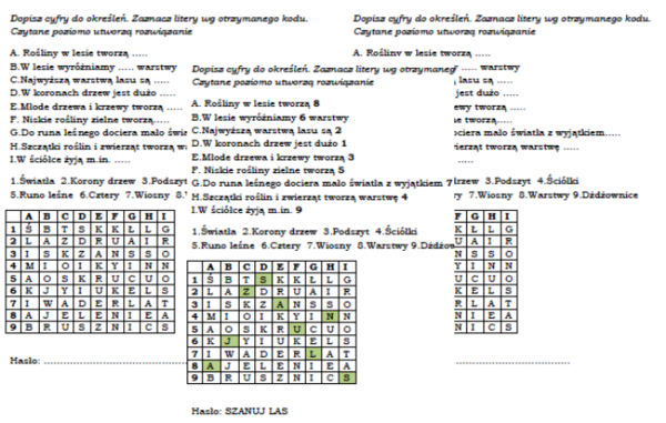 Warstwy lasu- łamigłówka dla klasy 4