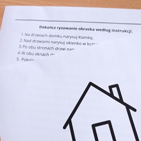 Czytanie ze zrozumieniem - instrukcja