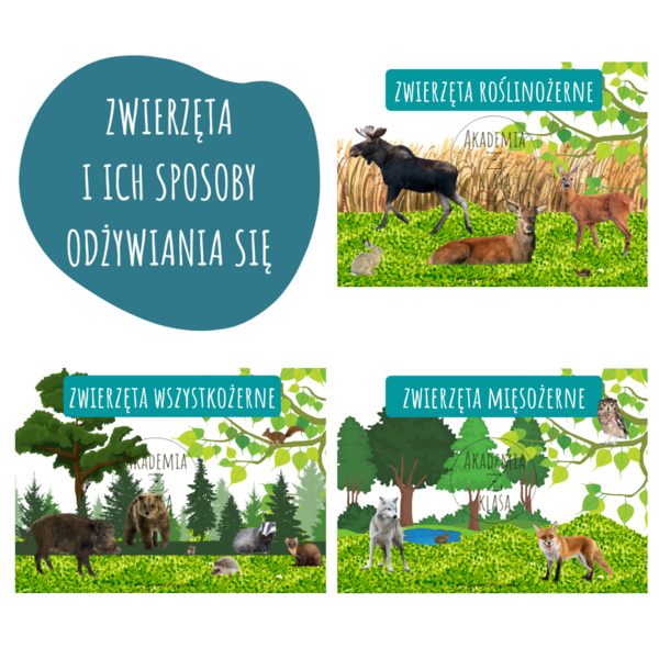 ZWIERZĘTA ROŚLINOŻERNE, MIĘSOŻERNE, WSZYSTKOŻERNE - PLANSZE EDUKACYJNE