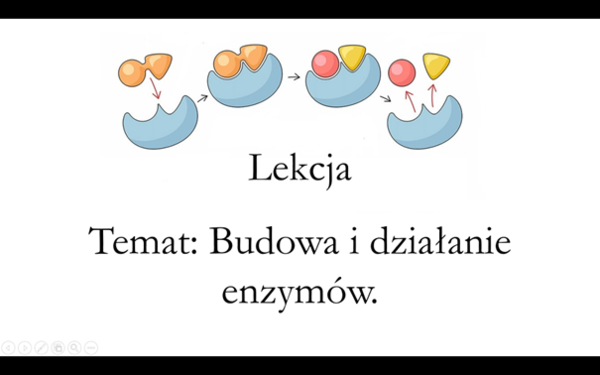 Klasa 1 (rozszerzenie) - Budowa i działanie enzymów - prezentacja