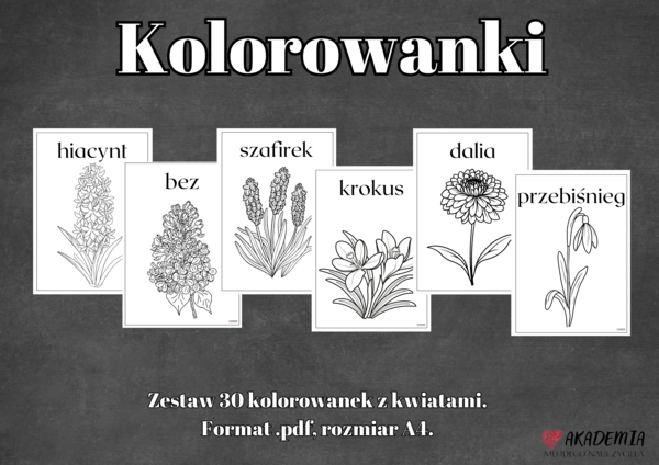 Zestaw kolorowanek