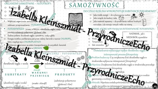 Sketchnotka - notatka „Samożywność” wykonana w power point do edycji. Biologia 5; „Budowa i czynności życiowe organizmów”