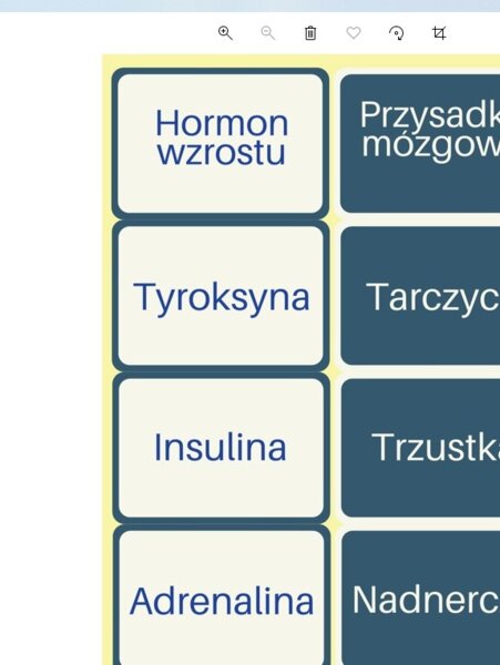 Memory: Gruczoły i hormony