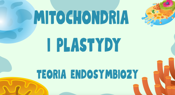 Mitochondria i plastydy. Teoria endosymbiozy. Biologia poziom rozszerzony.