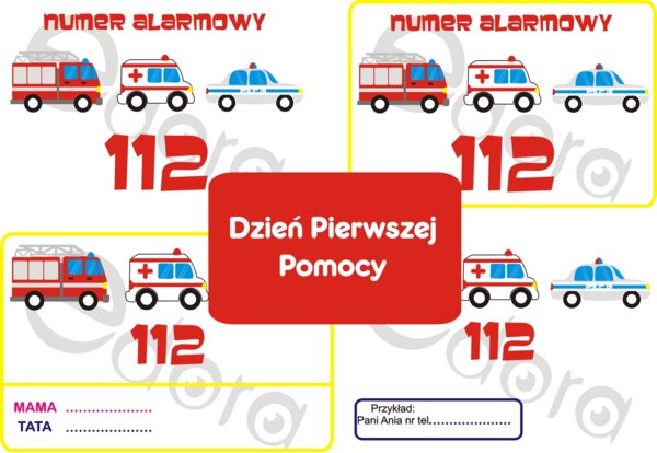 Dzień Pierwszej Pomocy
