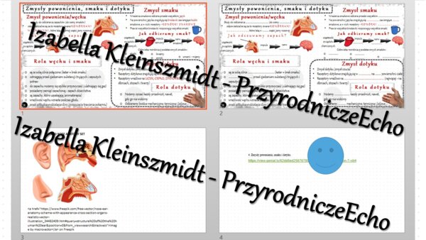 Minizestaw na temat „Zmysły powonienia, smaku i dotyku” – sketchnotka + karta pracy w power point + gratisowy link do prezentacji multimedialnej niekomercyjnej wykonanej w genial.ly do indywidualnego pobrania i użycia do celów niekomercyjnych. Biologia 7