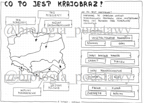 Klasa 5 - Co to jest krajobraz? - sketchnotka