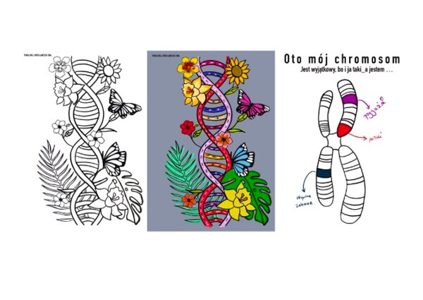 Chromosom, Łańcuch DNA kolorowanka a4 i xxl 9 części - Dzień Osób z Zespołem Downa
