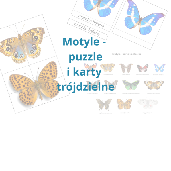 Motyle - puzzle, układanka, karty trójdzielne