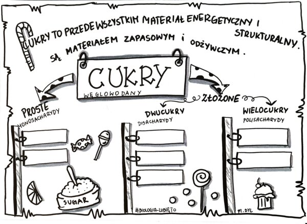 Klasa 7. Biologia. Cukry (dwie karty pracy: kolorowa + do uzupełnienia)