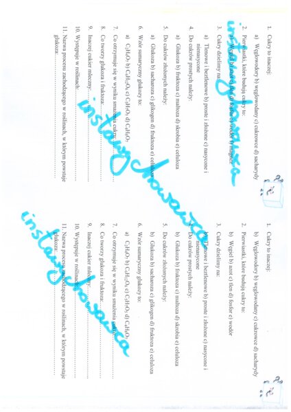 Węglowodany-karta pracy