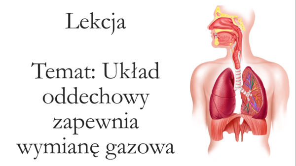 Klasa 4 - Układ oddechowy - prezentacja