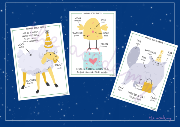Meet the Animals! – Animal Body Parts