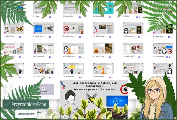 Prezentacja multimedialna w genial.ly „Jak postępować w sytuacjach zagrożenia? Pierwsza pomoc – ćwiczenia.”. Edukacja zdrowotna. Klasa 4. Dział „Moje zdrowie”.