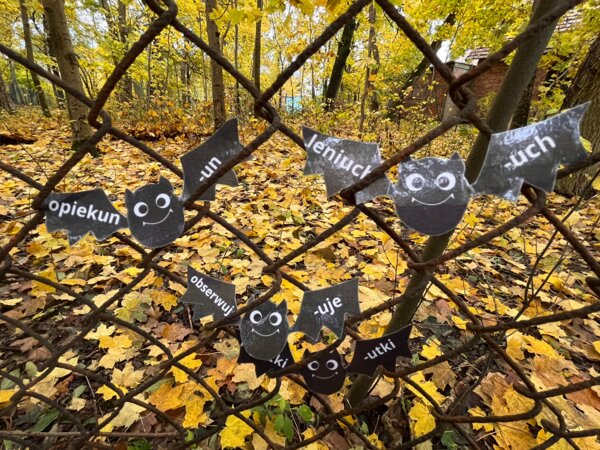 Nietoperze - ortografia - końcówki u - zasady - Halloween