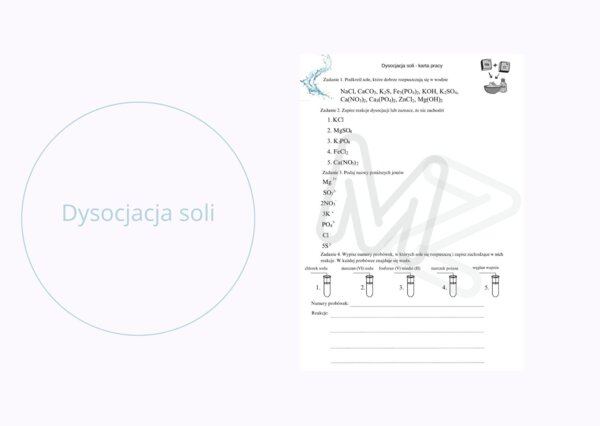 Dysocjacja soli - karta pracy