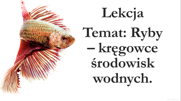 Klasa 6 - Ryby - prezentacja