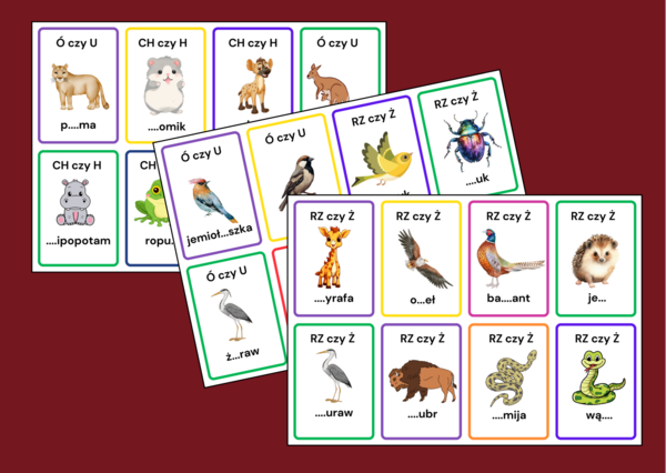 KARTY ORTOGRAFICZNE – zwierzęta - ptaki – ORTOGRAFIA – 56 szt.