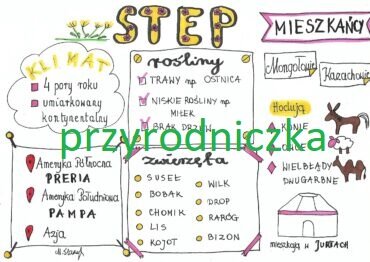 Step (3 karty pracy)