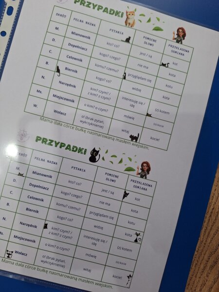 Przypadki - wklejka do zeszytu