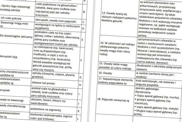 Stawonogi i mięczaki (rozsypanka)