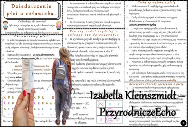 Książeczka/sketchnotka/notatka/wklejka/streszczenie dla ucznia i przypomnienie dla nauczyciela/edukacja domowa/materiał w pigułce. Temat „Dziedziczenie płci u człowieka” w pdf. Biologia 8, dział „Genetyka”. Nowość 2024/2025.