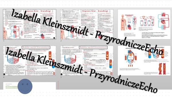 Minizestaw na temat „Krążenie krwi” – sketchnotka + karta pracy w power point + gratisowy link do prezentacji multimedialnej niekomercyjnej wykonanej w genial.ly do indywidualnego pobrania i użycia do celów niekomercyjnych. Biologia 7, „Układ krwionośny”
