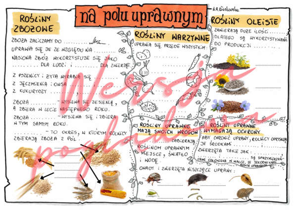 Na polu uprawnym - przyroda kl. 4