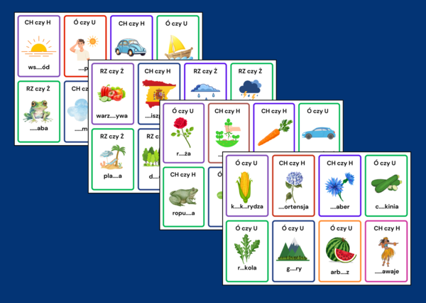 KARTY ORTOGRAFICZNE – ortografia – LATO - wakacje – 56 szt.