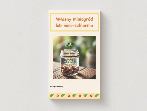 Własny mini-ogród lub mini-szklarnia. Sadzenie roślin w słoikach, doniczkach z recyklingu. Dziennik obserwacji