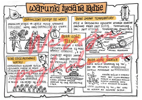 Warunki życia na ladzie -przyroda kl. 4 -wypełniona karta pracy